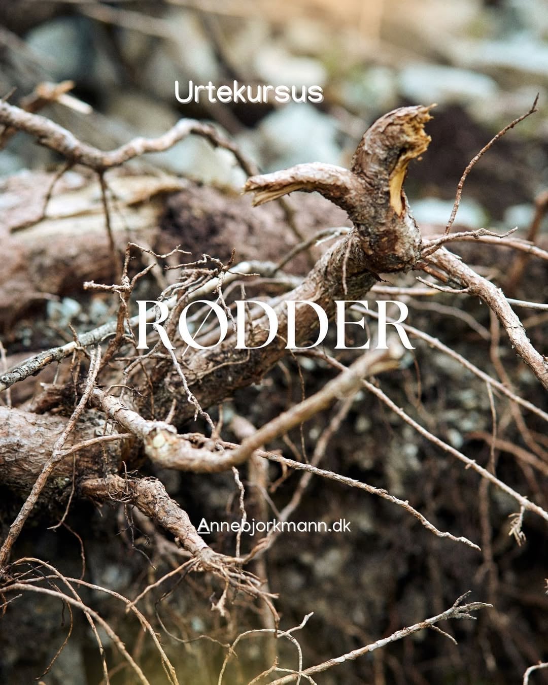 Urtekursus - Rødder